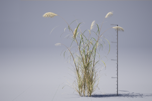 UE5草资产—风吹动画控制，支持Nanite，