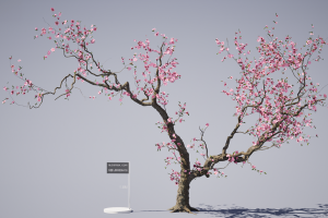 UE5植物资产——下载地址